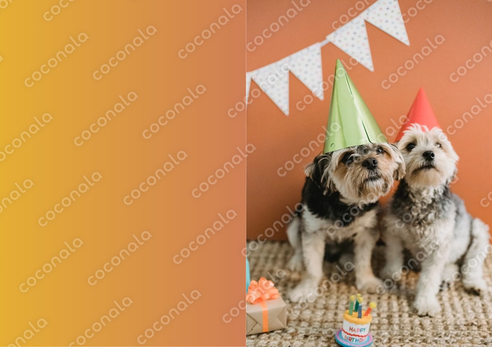 \\ 用途イロイロ // 2つ折り デザインカード 犬