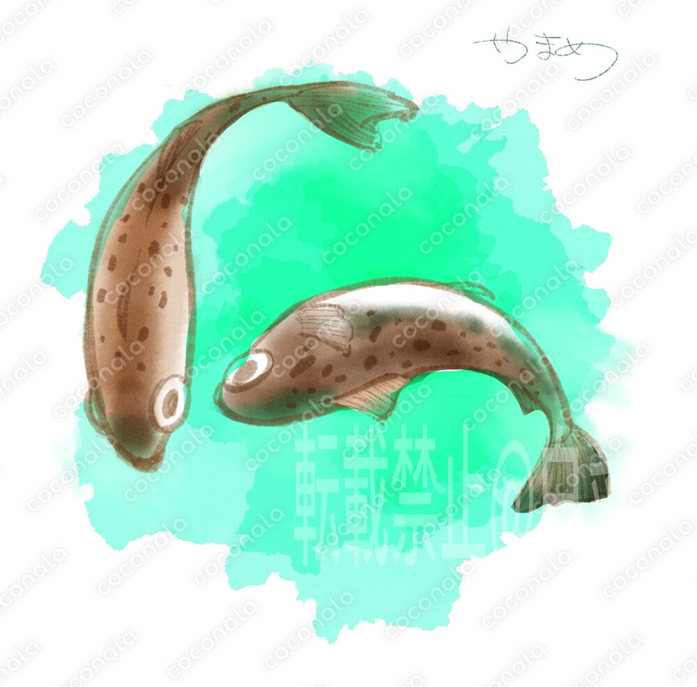 魚の水彩イラスト承ります