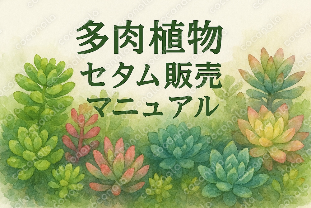 【隙間副業！】多肉植物　セダム販売の全て