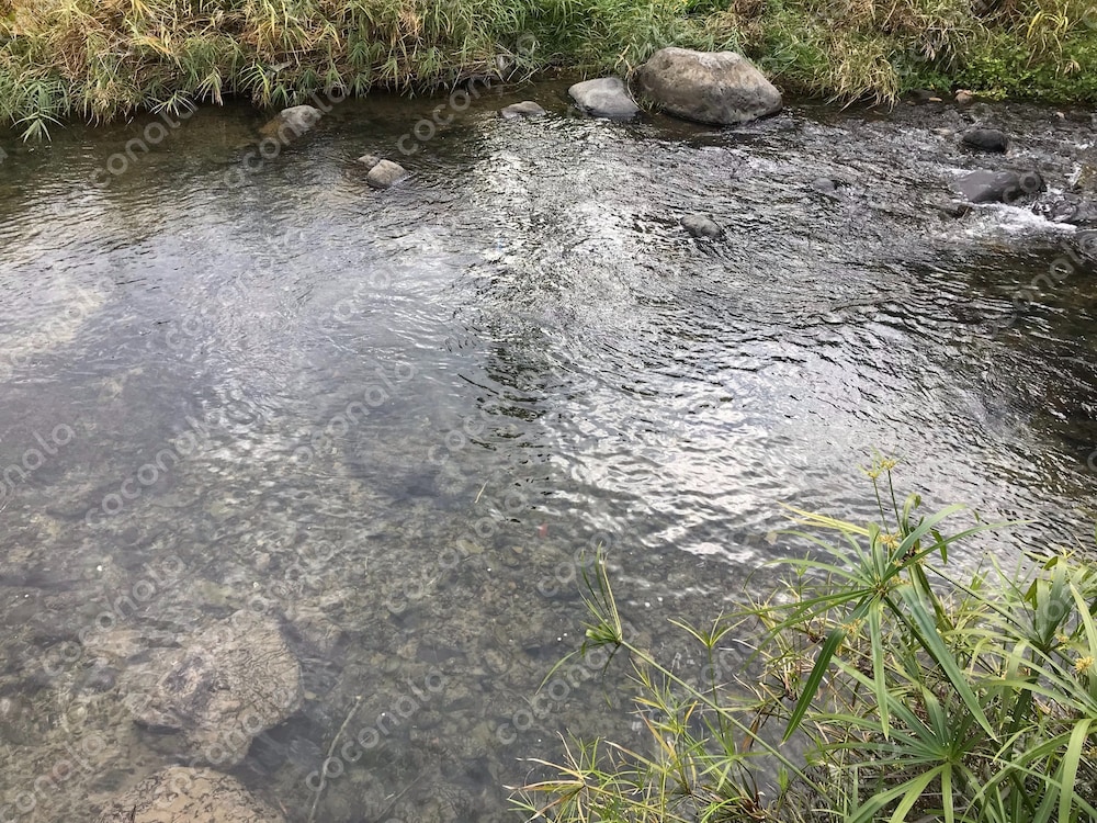 澄んだ川