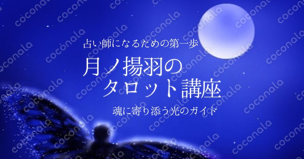 月ノ揚羽のタロット講座（動画教材）