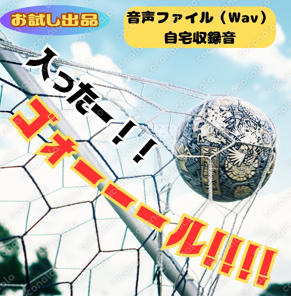 ＜お試し出品＞入った！ゴーーーール！！