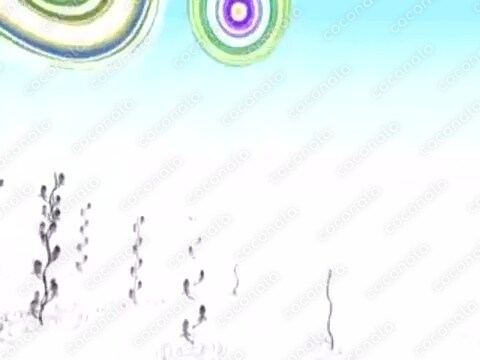 snowfall 神風　冬の雪をイメージしたMV