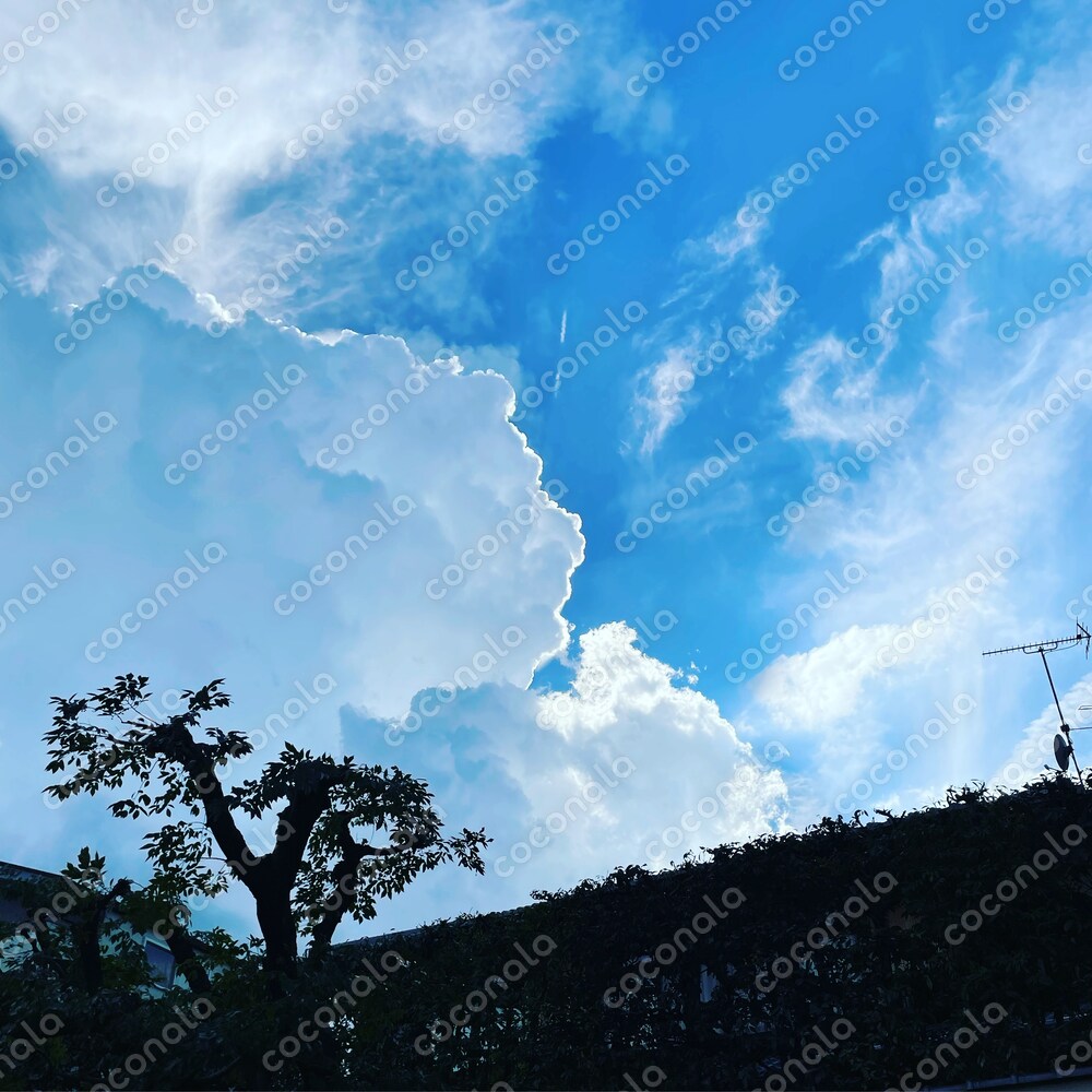 京都の高野川の川岸から見上げた青空と雲（2022年7月撮影）