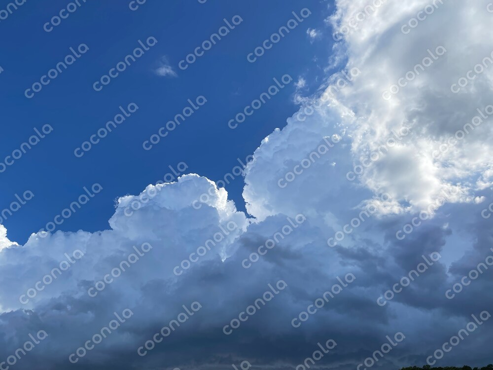 夏の青空と雲（2025年7月撮影）