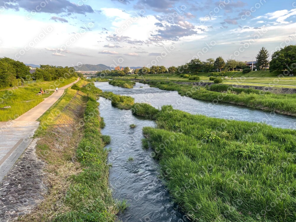 京都の夏の賀茂川の風景（2025年6月撮影）