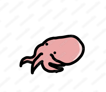 【商用利用◎】タコ | 魚のイラスト