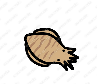 【商用利用◎】甲イカ | 魚のイラスト
