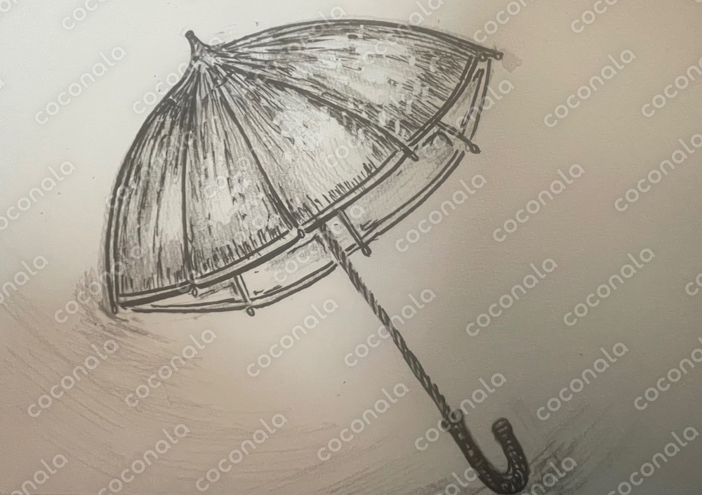 雨傘