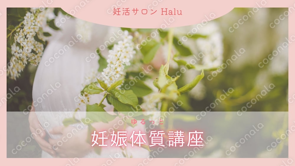 助産師が教える妊娠体質に近づく体と心の講座PDF〜体質チェックシート付〜