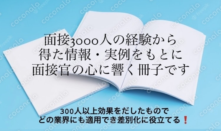 転職・就活・面接合格する為のＰＤＦ（はじめての転職・就活において面接官から好感えるポイントを記載）