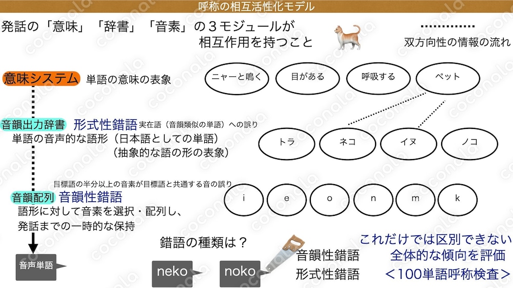 第3回｜明日から実践できるロゴジェンモデル《話す（呼称・語想起）編》　PDF資料