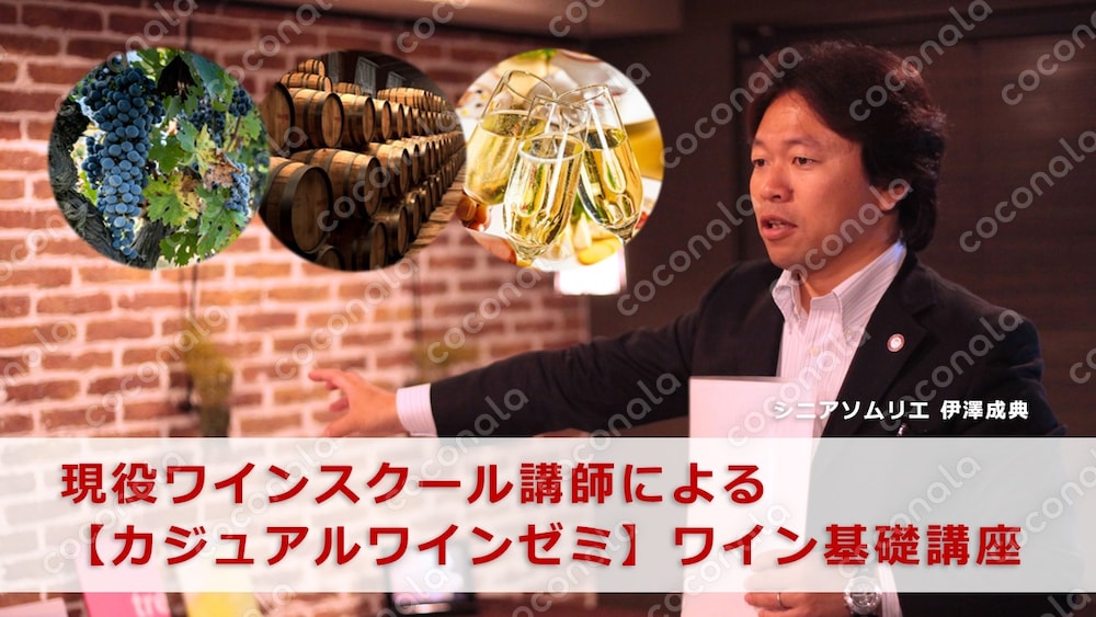 【カジュアルワインゼミ】動画で学ぶワイン基礎講座「ワインを楽しむ第一歩」