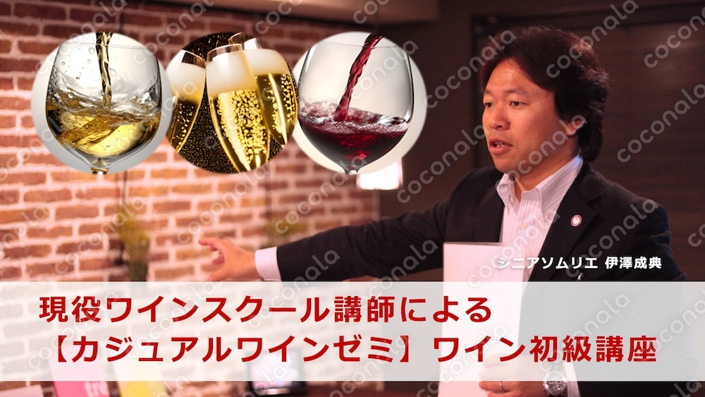 【カジュアルワインゼミ】動画で学ぶワイン初級講座１「プロローグ　ワインのプロフィール」