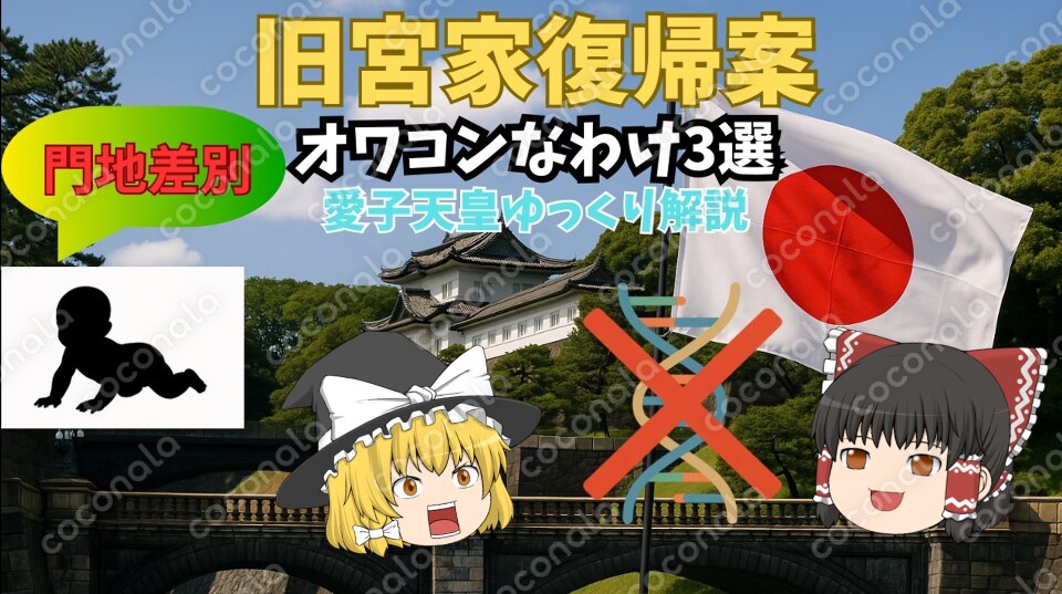 有料オプション