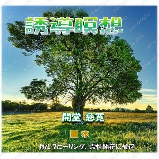 誘導瞑想：木
