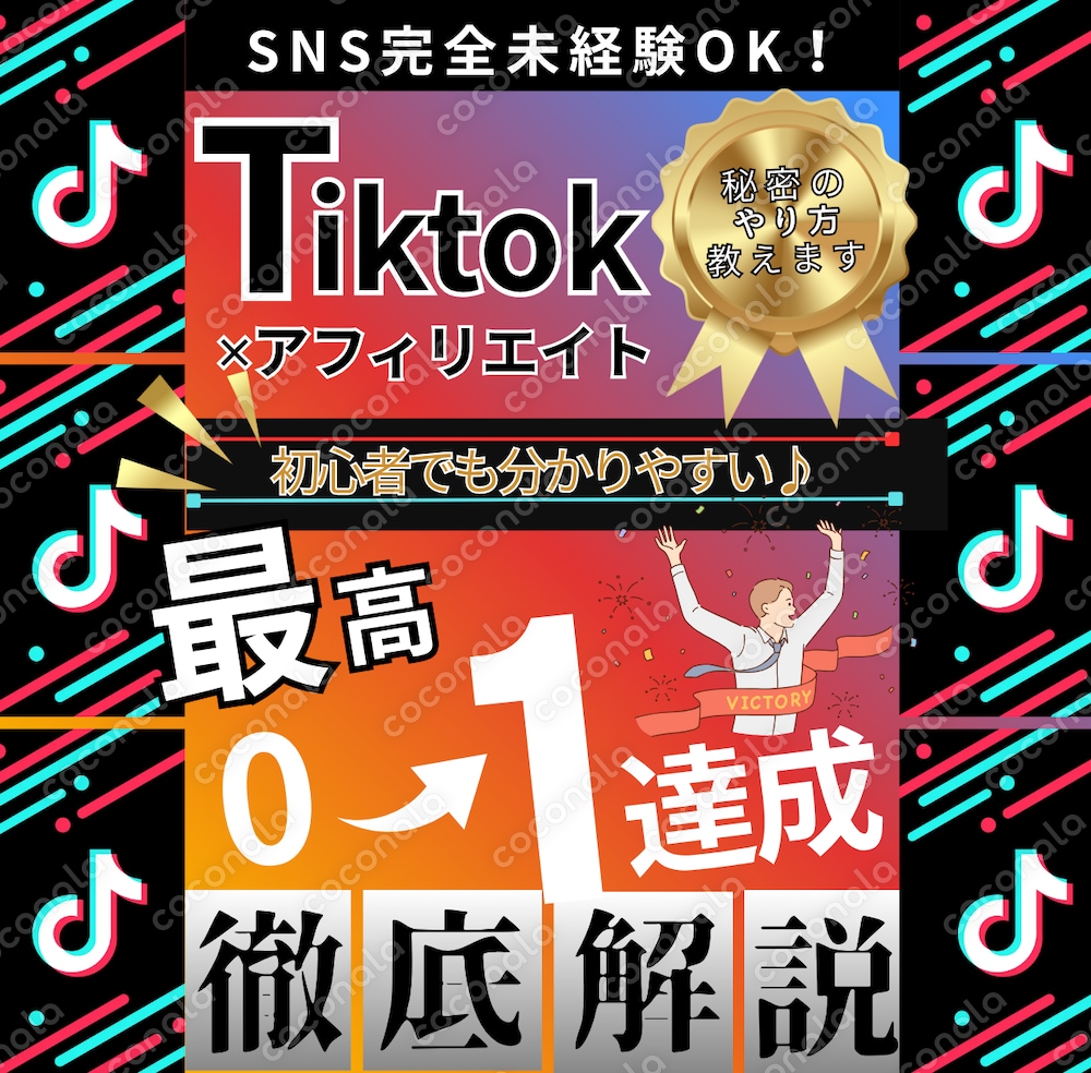【Tik Tok✕アフィリエイト】最強コンビの裏技!!