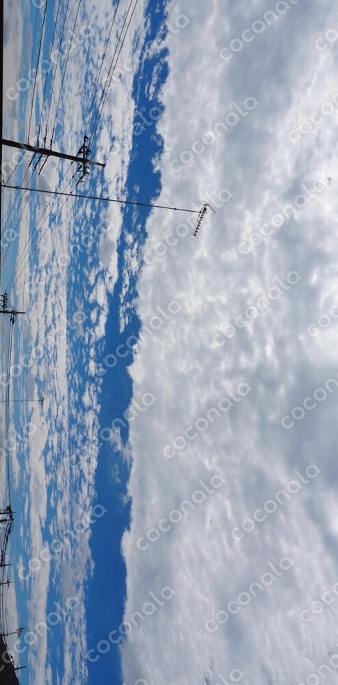 雲と青空の写真