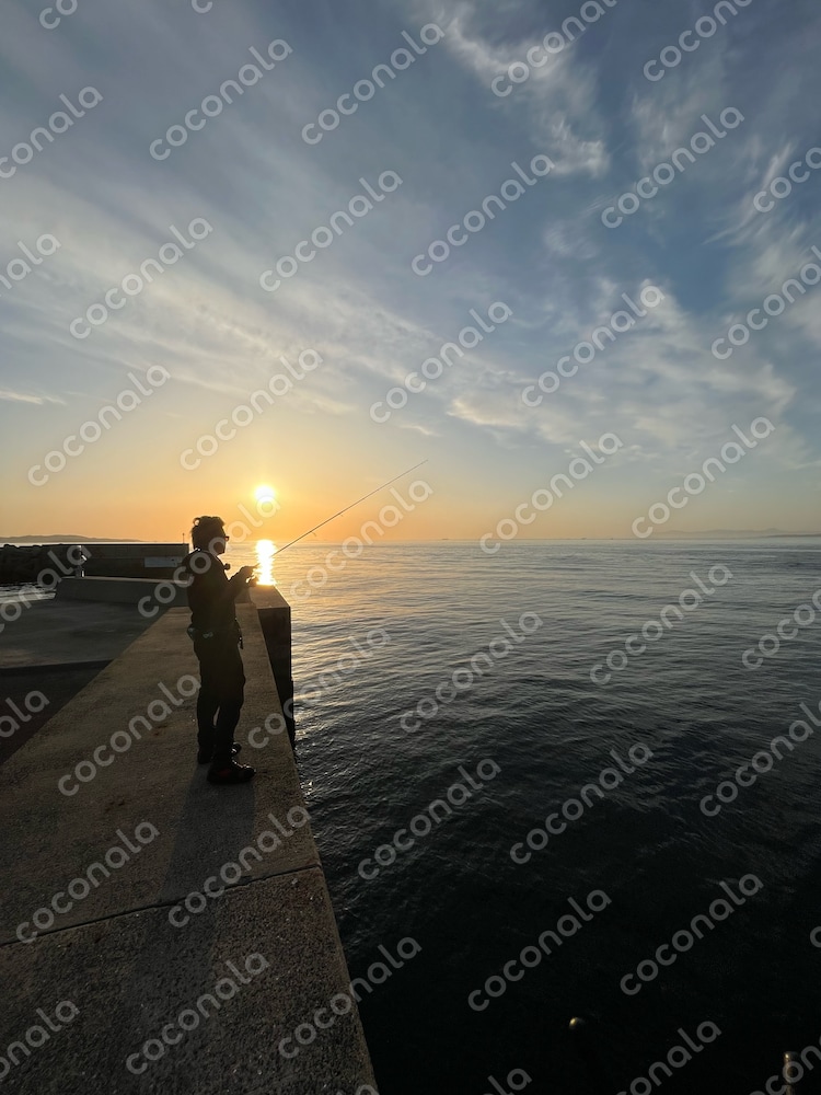 夕日　海　釣り