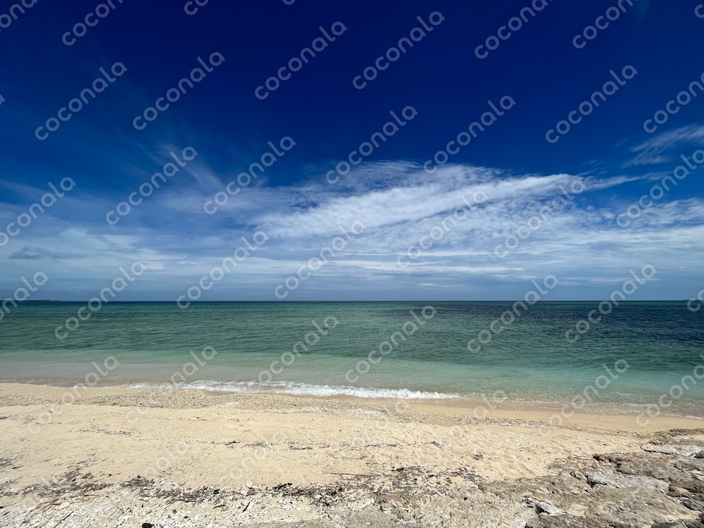 沖縄の海