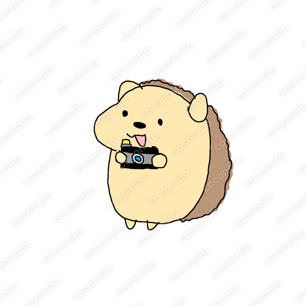 お仕事ハリネズミ（カメラマン）