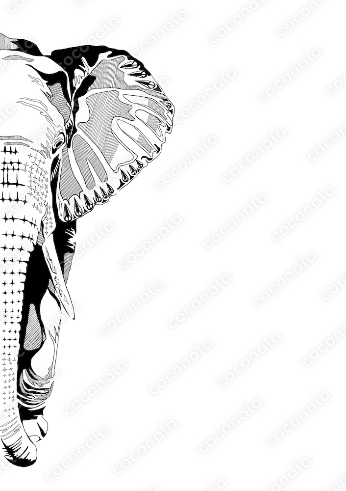 象 モノクロイラスト