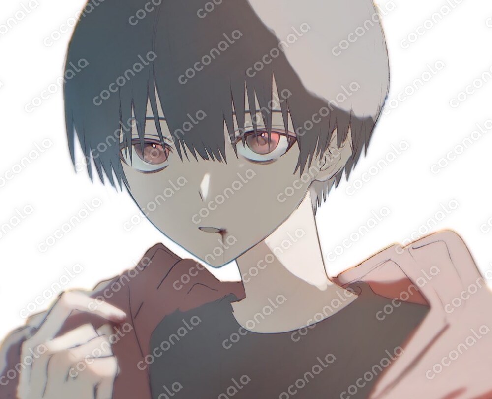カラーイラストです