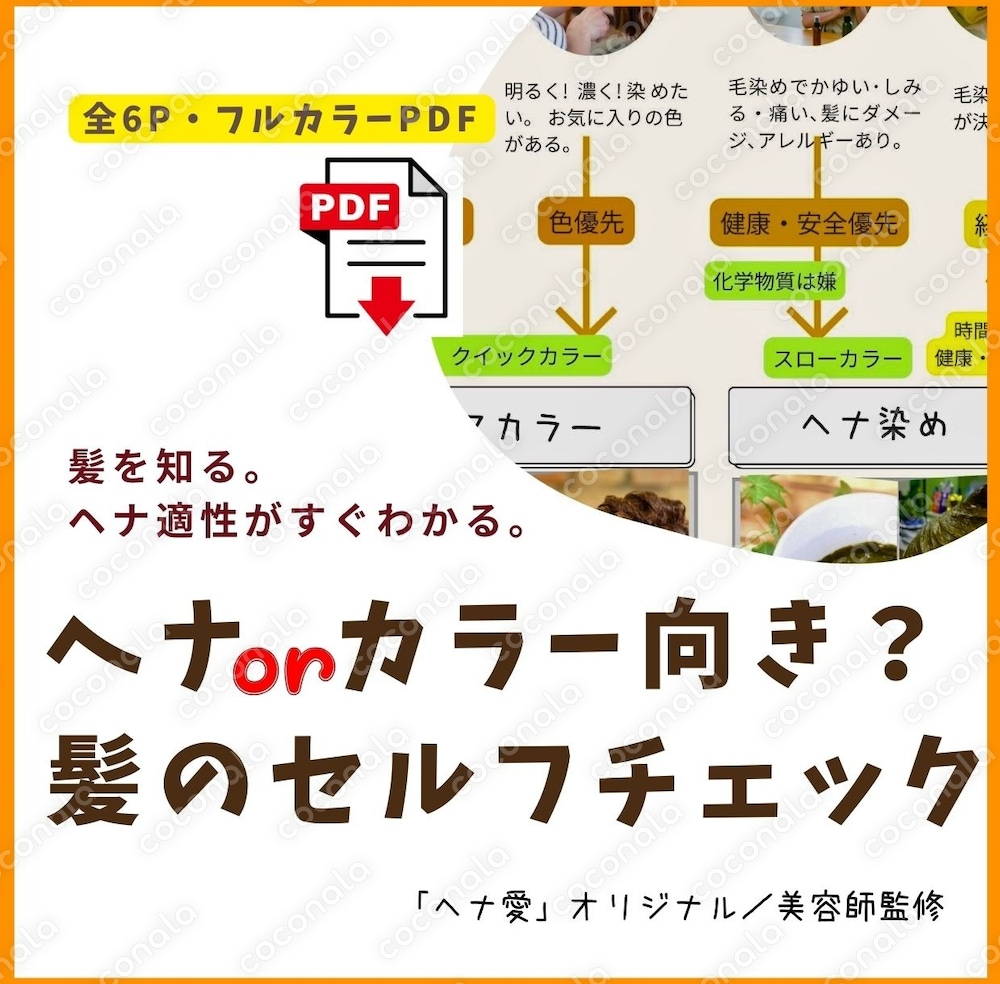 ヘナ？ それともカラー？「髪のセルフチェック」シート（フルカラーPDF／全6P）【ココナラ限定】