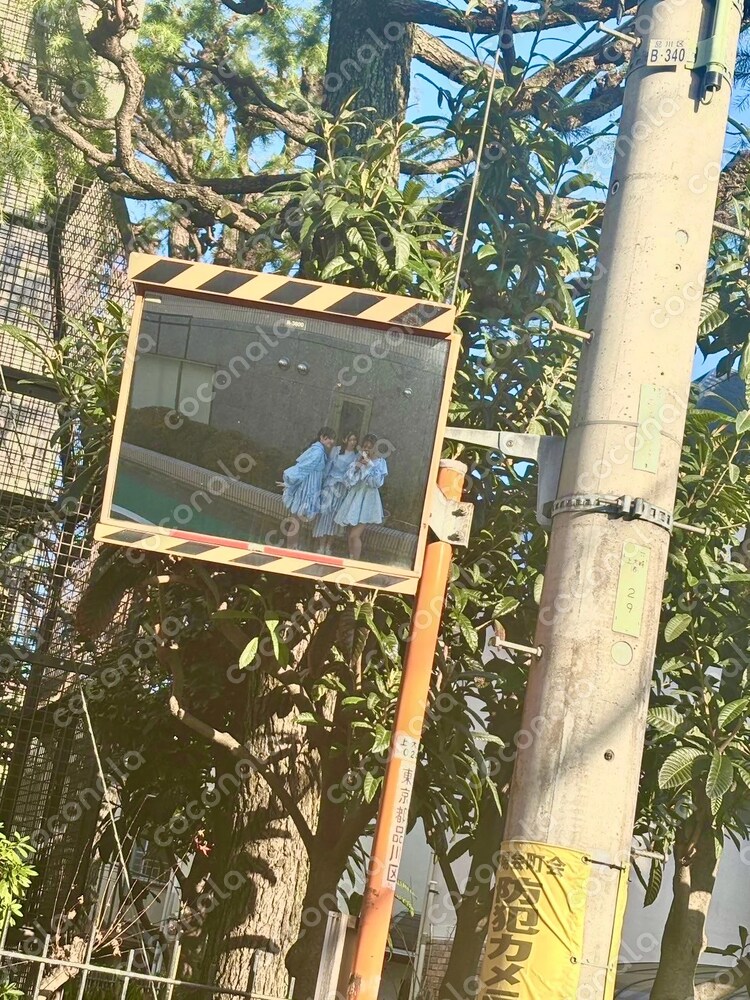 かわいい写真