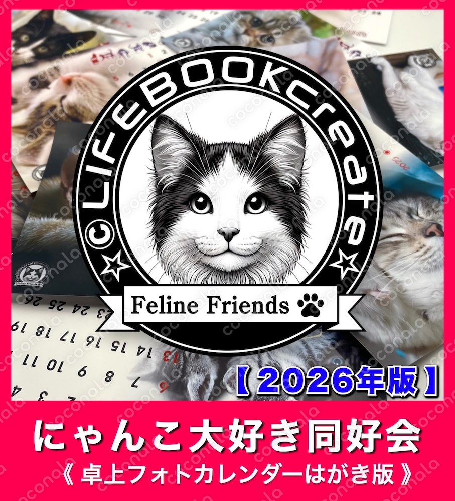 【2026年度版】猫の愛くるしい瞬間を集めた卓上フォトカレンダーで毎日を一緒に！