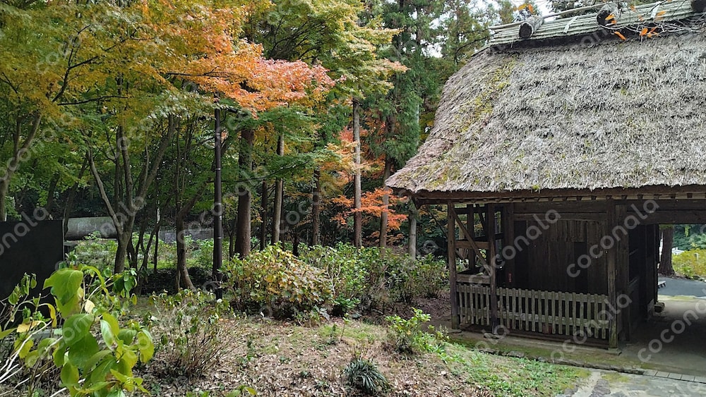 内省が整う｜木立と茅葺の小屋のPC壁紙用画像（方位ガイド付）