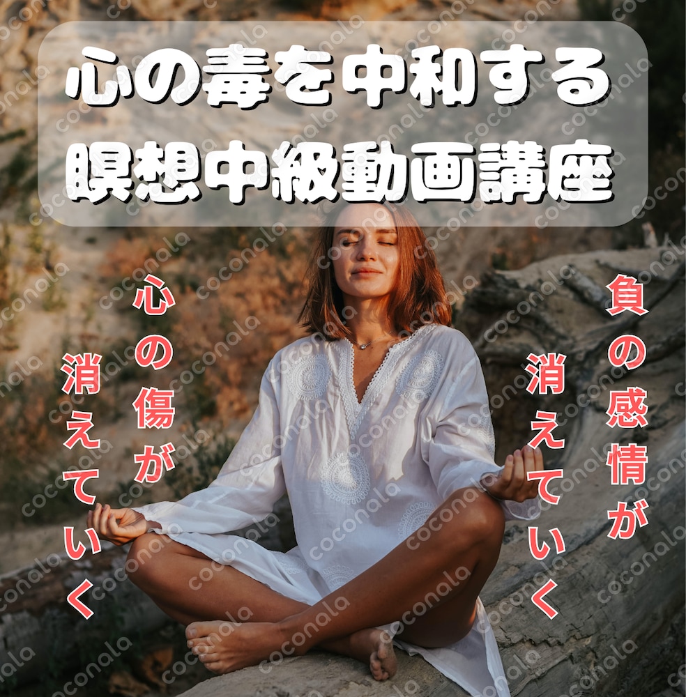 心の毒を中和する解毒剤！瞑想という現象を分析して作った瞑想中級動画講座