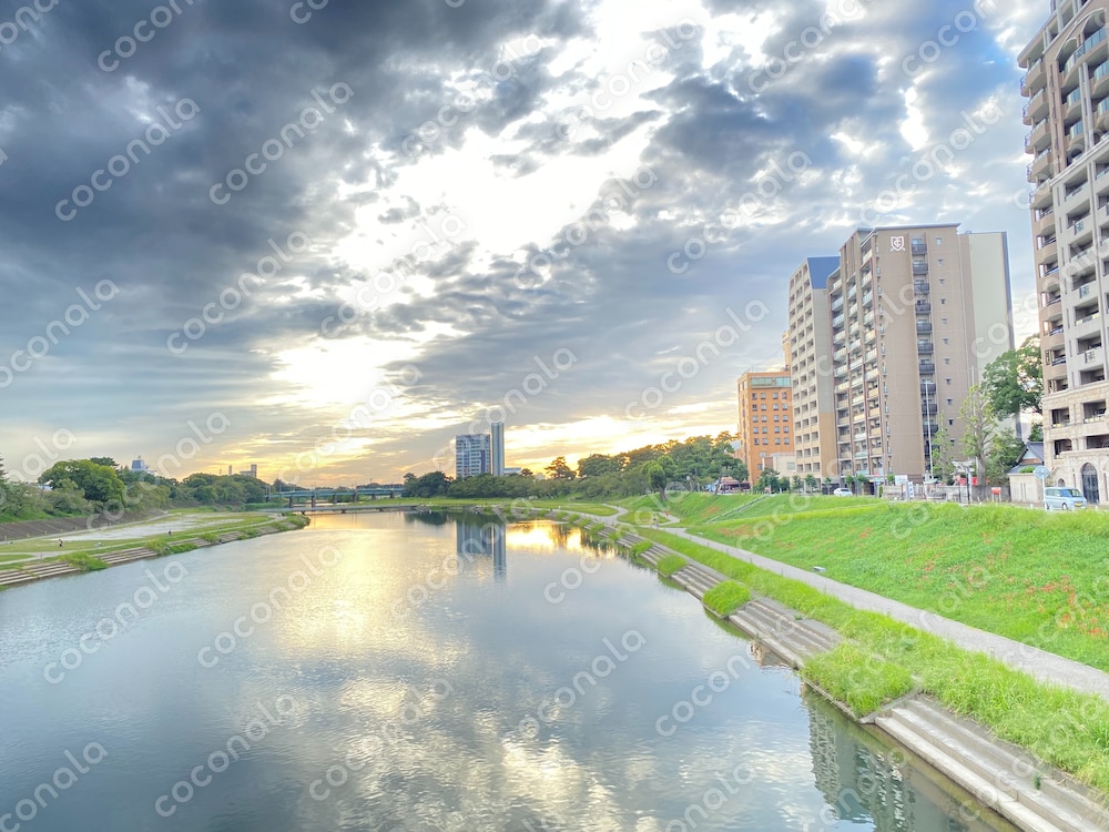 愛知県のとある風景
