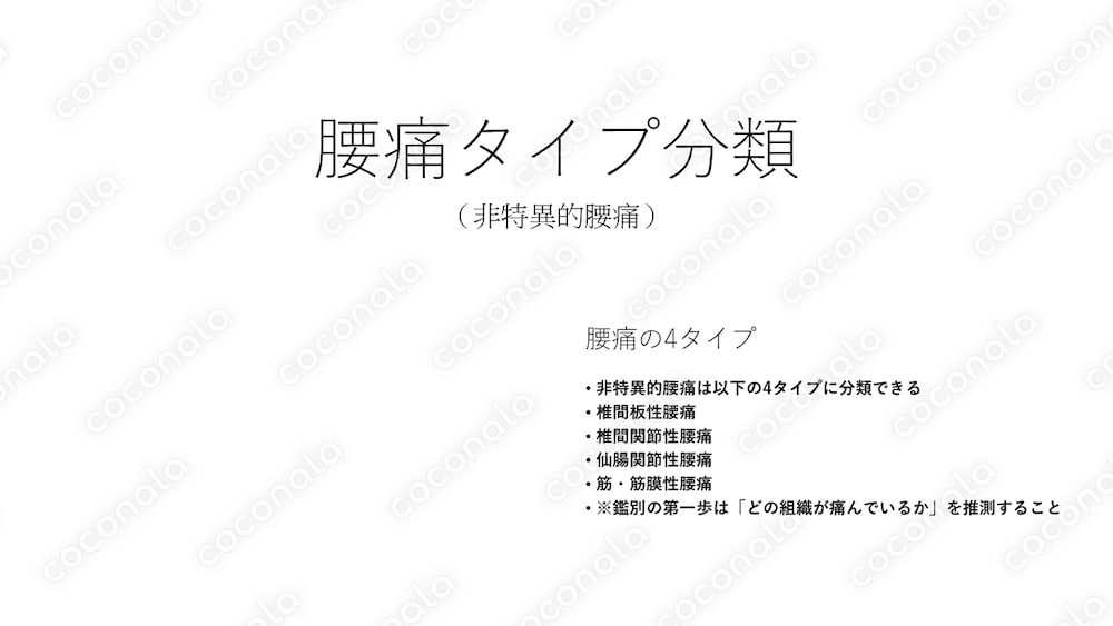 【PPTX版・編集可能】腰痛タイプ分類｜4タイプをわかりやすく整理したスライド資料