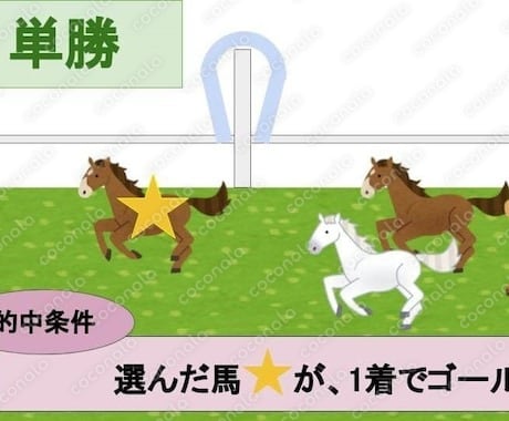 単勝馬券のみで利益を出す方法をおしえます