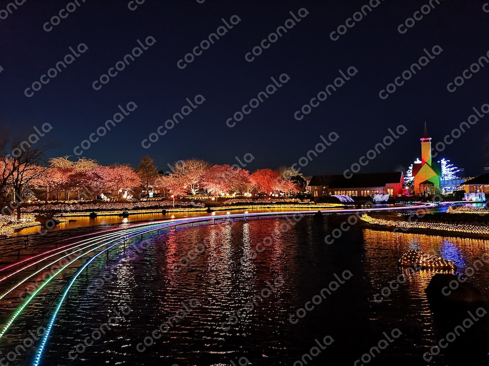 夜景：なばなの里イルミネーション
