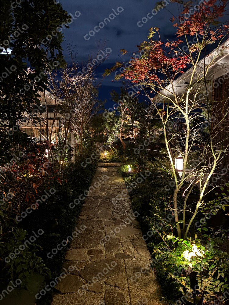 夜景色