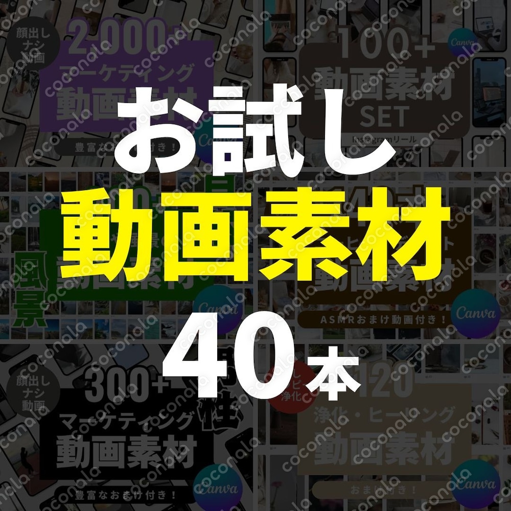 お試し動画素材40本セット