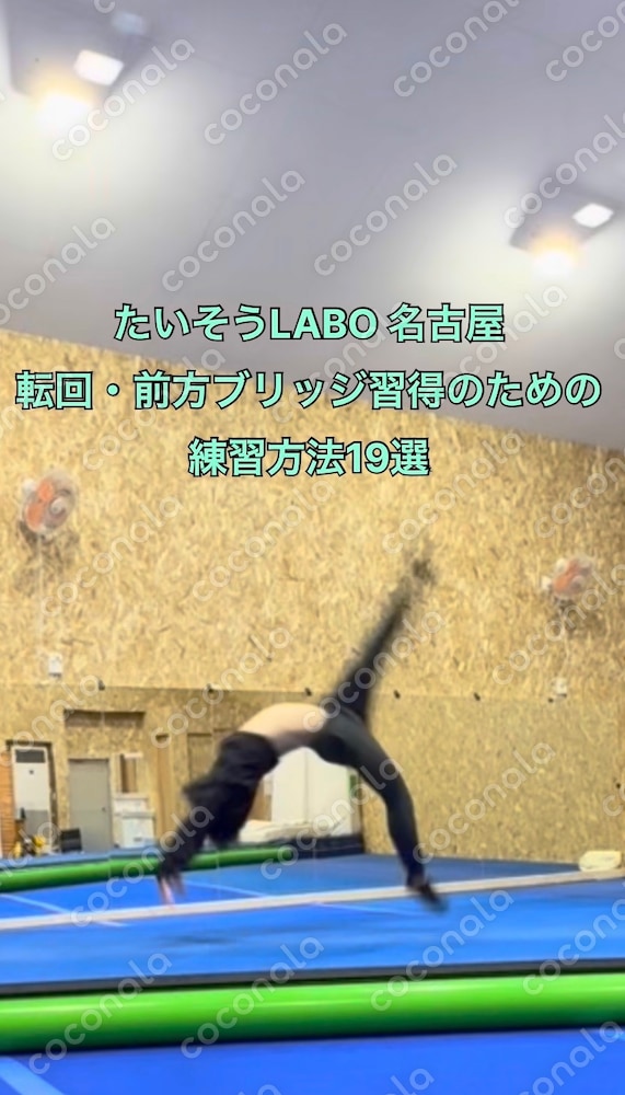 たいそうLABO名古屋　「転回・前方ブリッジ習得のための練習方法１９選」