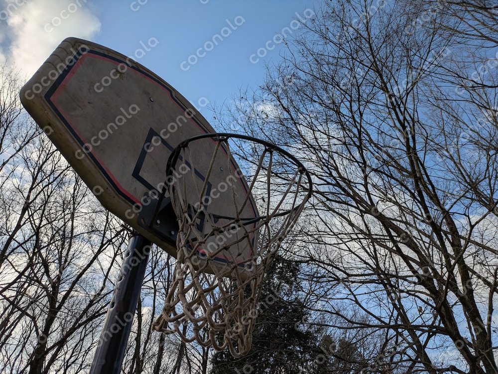冬の木立を背景にしたバスケットゴールの屋外写真｜商用利用可　写真素材