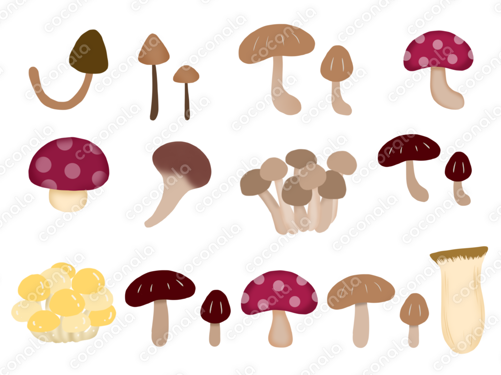（背景透過）きのこのイラストセット
