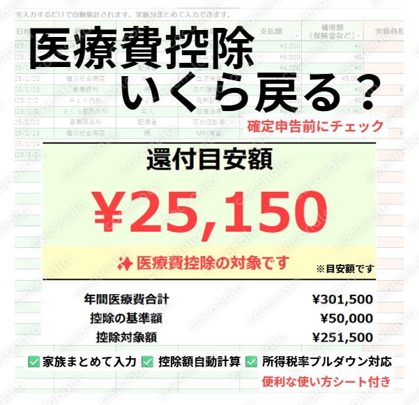【医療費控除】還付額がすぐ分かるExcelテンプレ｜確定申告前に家族まとめて自動計算