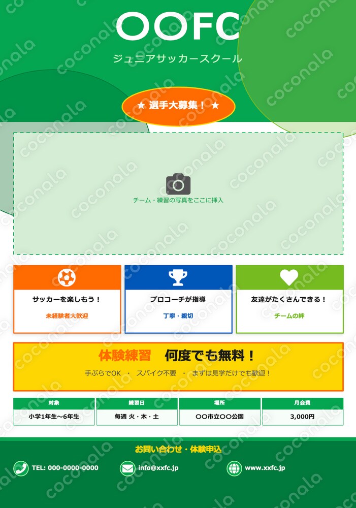 【スポーツ団体向け】A4両面チラシ テンプレート｜PowerPoint編集可｜入団案内・選手募集