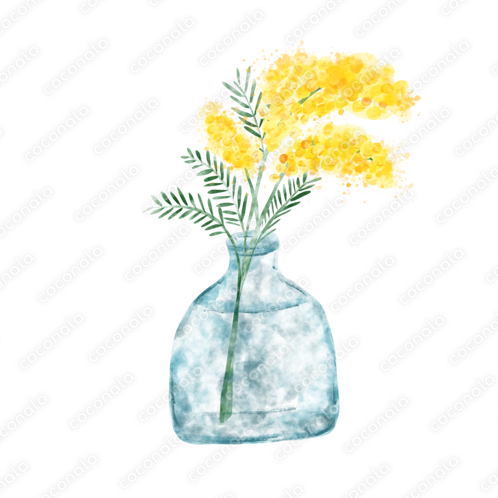 ミモザとガラス花瓶の水彩イラスト|春の透明感素材PNG|植物画|ボタニカル|ナチュラル|北欧|