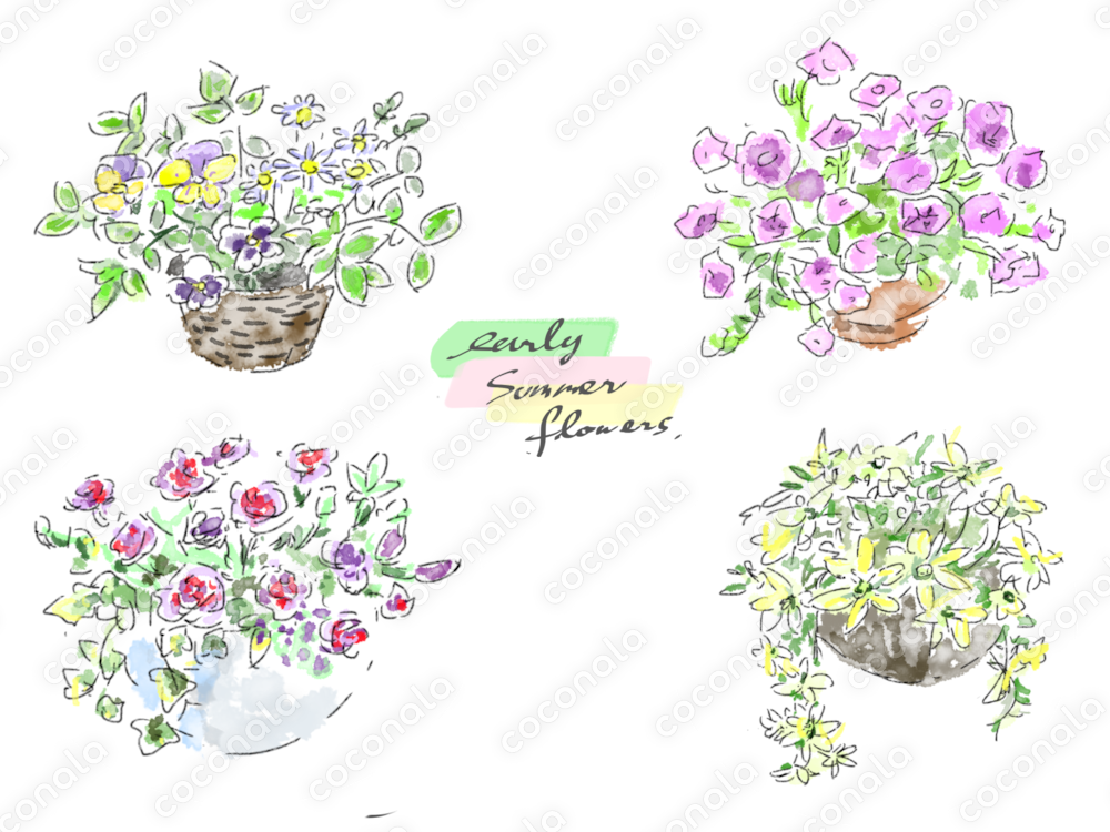 水彩タッチの夏の花イラストセット