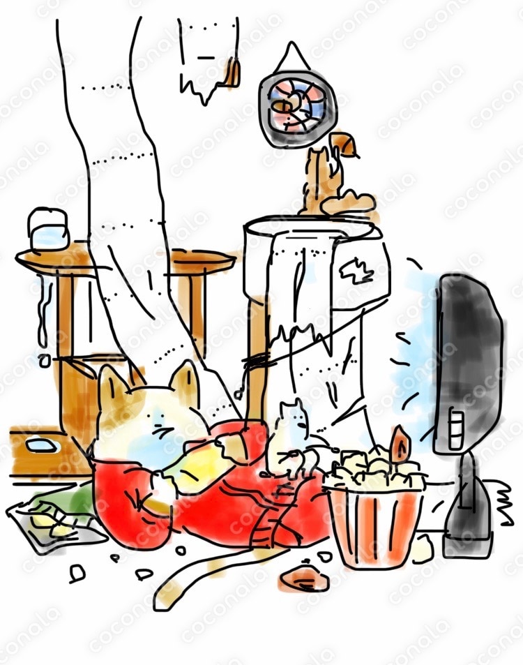 留守番中のペットたち😰