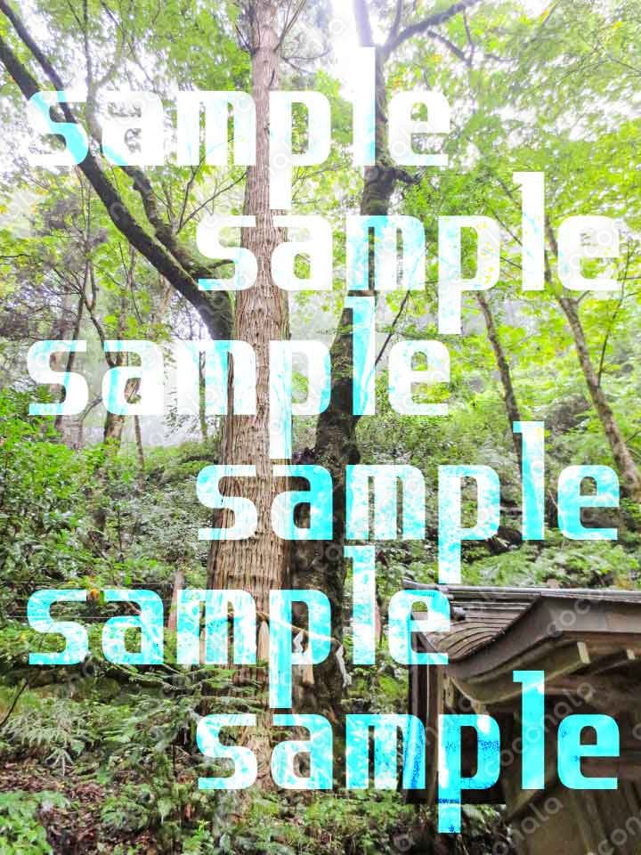 恋愛運UP画像＊待ち受け等に。