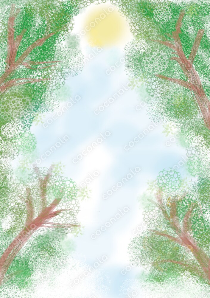 森から空を見上げた風景