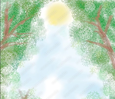 森から空を見上げた風景