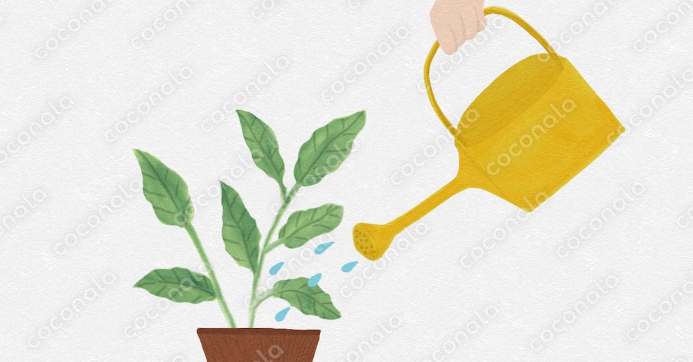 🌱 観葉植物に水やりするイラスト｜シンプル・ナチュラル・癒し系素材